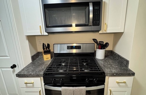 Geneva House | Newly Renovated! SPIRE, GOTL