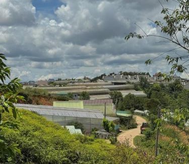 Da Lat Hotel | Nhà Dưới Đồi Homestay
