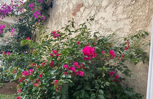 Jocotenango House | Nice and Cozy for 6 in Pastores Antigua Guatemala, 8 min from downton Antigua
