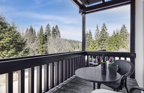 Hinterzarten Apartment | Nice apartment for 2 people with WIFI, pool, TV, balcony and parking