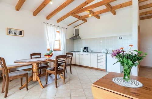 Stifanici Apartment | Nice apartment for 4 guests with WIFI, A/C, pool, TV, terrace and pets allowed