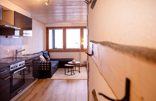 Barboleusaz Apartment | Nice apartment for 4 people with WIFI, TV and balcony