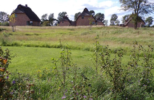 Nieby House | Niedermoor, das Reetdach Doppelhaus für 4-5 Personen mit Romantischem Birkblick