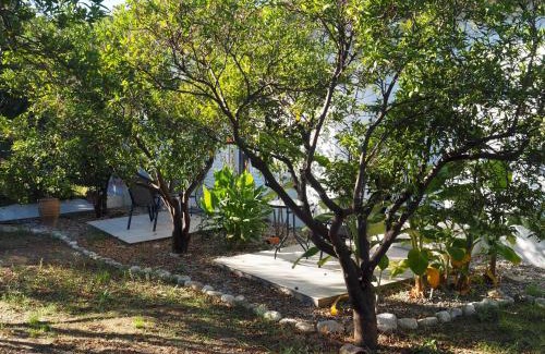 Kakovatos House | Nikos 8