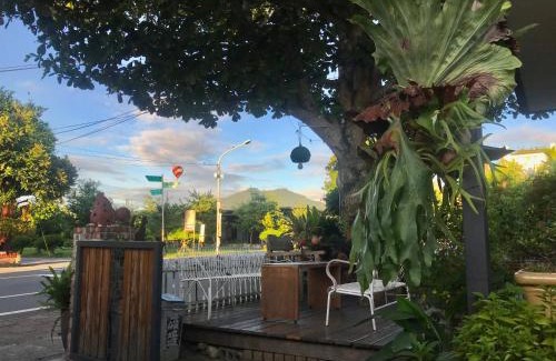 Luye House | Ninth Great-uncle