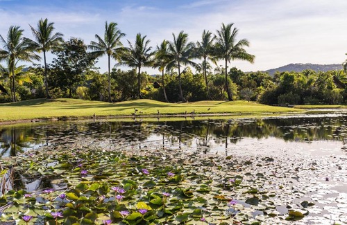 Port Douglas Resort | Niramaya Villas and Spa