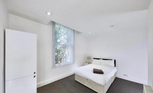 Sefton Park Apartment | No 4 AT MANNERING, LARGE 1 BED NEAR SEFTON PARK