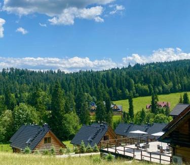 Lapsze Nizne Hotel | No Name Hotel&SPA
