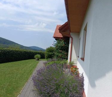 Solina House | Noclegi "Koniadów"