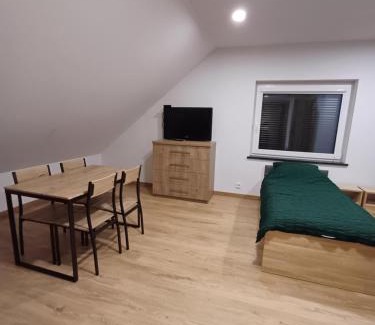 Mielec Apartment | Noclegi u Wilka
