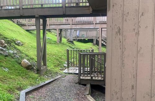 Warren Apartment | North Lynx 11