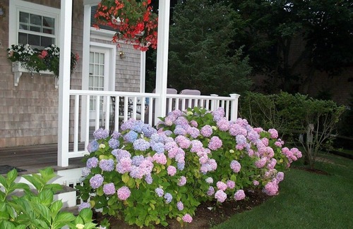 Nantucket Town House | Northern Exposure in Town 0.9 Miles to Main Street - 4BR/2.5BA