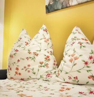 Stuhlinger Old Town Apartment | Nova Freiburg Ferdinand Weis Str