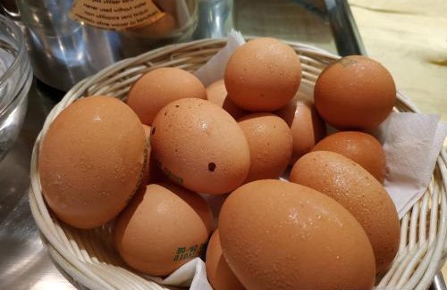 Chieti Scalo Hotel | Nuovo Albergo