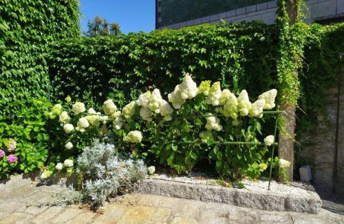 Meis Apartment | O Apartamento do Xanza, ideal para parejas ADAPTADO MOVILIDAD REDUCIDA