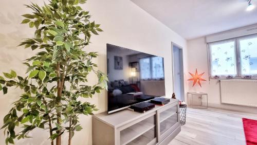 Obernai Apartment | O'Cœur Cozy