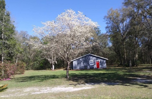 Lake City House | O'LE LADYBUG COTTAGE