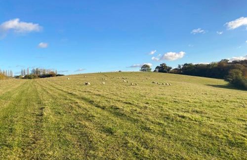 Ware House | Oak Cottage