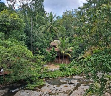 K. Wipawadi House | Oasis forest garden