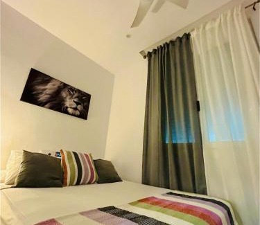 Navas House | Oasis Meridian