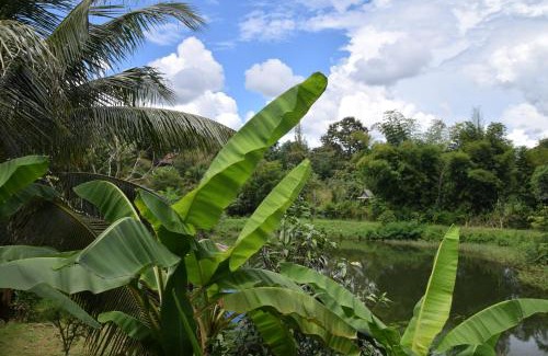 Pai Resort | Oasis Pai Resort