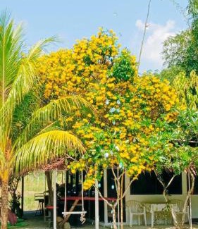 Sa Khu Resort | OASIS Phuket Airport