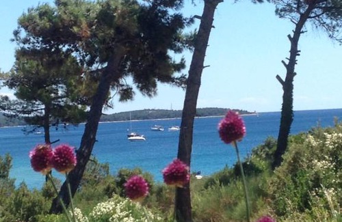 Artatore Villa | Oaza