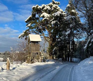 Piecki Bed & Breakfast | Oaza Mazurska - Willa Lasek
