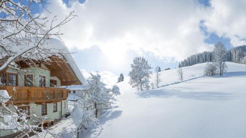 Flachau Apartment | Oberschartlhof