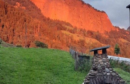 Vitznau Apartment | Oberwilen