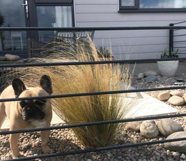 Brean Apartment | Ocean Drive Boutique Apartment continental Breakfast & Tray