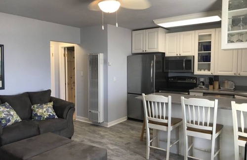 Mission Beach Apartment | Ocean Front 1 bd downstairs apt