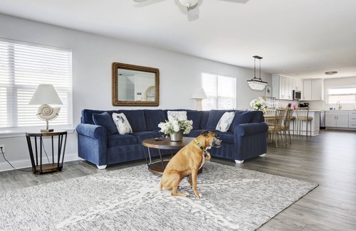 Brigantine House | Oceanfront! Fenced in back yard! Pet Friendly! Come visit anytime👍