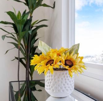 Pacifica Apartment | Oceanview Sunset View 3BR Luxe Home Yard