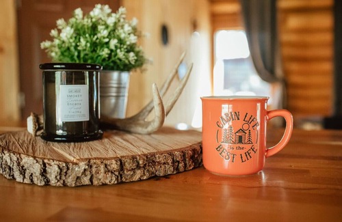 Division No. 11 Cabin | Off-Grid Wilderness Cabin 2 with Mountain Views, Sauna, Canoes & Fishing