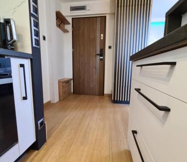 Regietow Apartment | OffWysowa