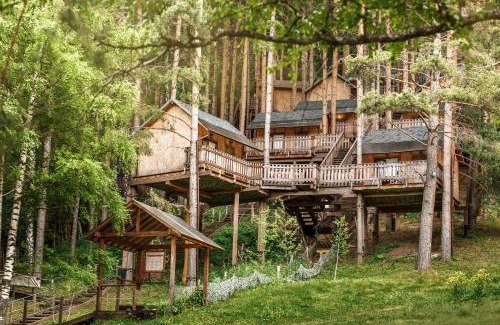 Besqaynar Resort | Oi-Qaragai Mountain Resort