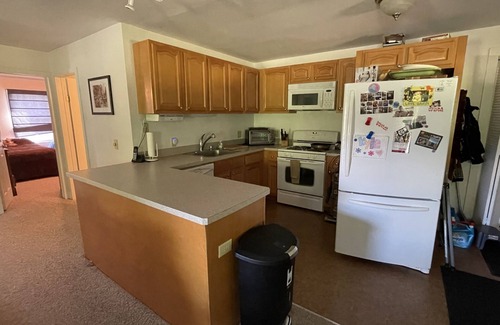 Mount Holly Apartment | Okemo getaway. Cozy 2 bedroom just 5 miles from Okemo, 12 miles to killington.