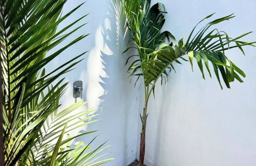 El Paredon Apartment | Ola Coliving - WiFi - Ranchito