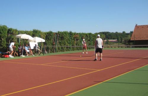 Marusevec House | Old Oak House with pool