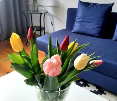 Malbork Apartment | Old Town Apartment