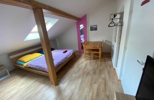 Olomouc Apartment | Old Town Apartments S12