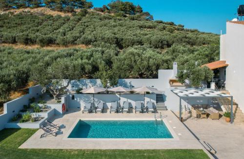 Nochia Villa | Olea Retreat Villa
