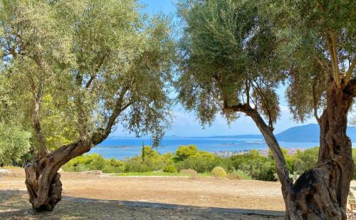 Frinion House | Olive Grove Cottage - Excellent View