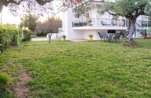 Messaia Apartment | Olive Harmony House