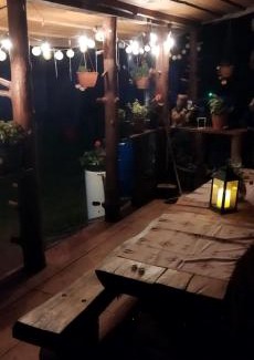 Bialowieza House | Olsik