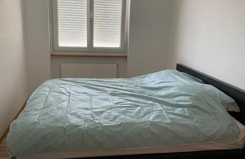 Trimbach Apartment | Olten with a View