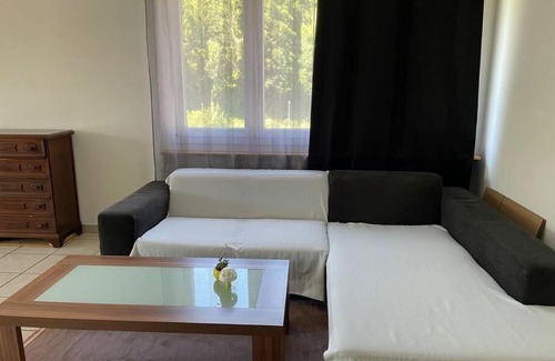 Trimbach Apartment | Olten with a View