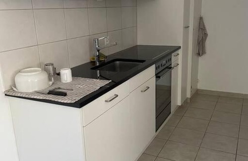 Trimbach Apartment | Olten with a View