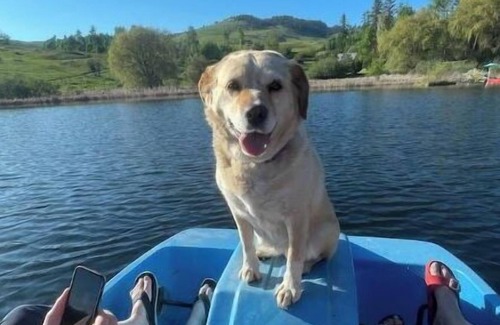 Kettle Falls Cottage | Oma’s Lakefront Cottage: Fish/Boat/Swim from dock